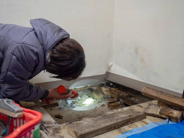 Best HVAC Mold Inspection and Cleaning  in Dock Junction, GA