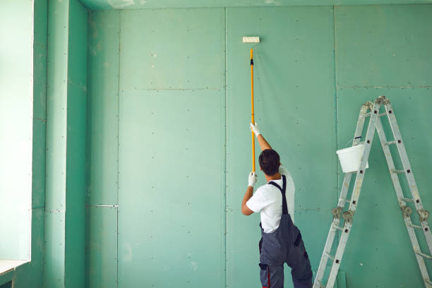 Best Mold Damage Restoration  in Dock Junction, GA