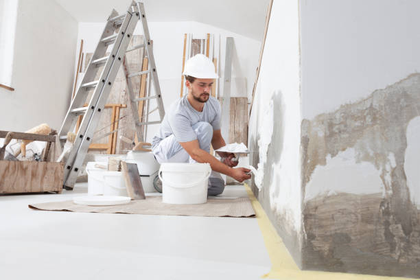 Trusted Dock Junction, GA Mold Removal Experts