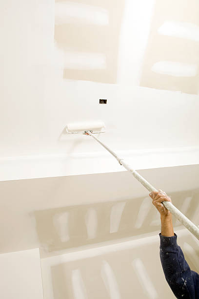 Best Attic Mold Removal  in Dock Junction, GA