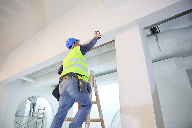 Best Basement Mold Removal  in Dock Junction, GA
