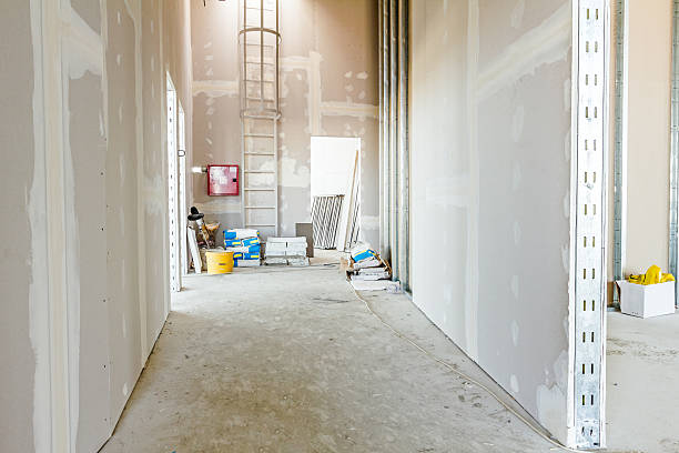 Best Asbestos and Lead Testing During Mold Inspection  in Dock Junction, GA